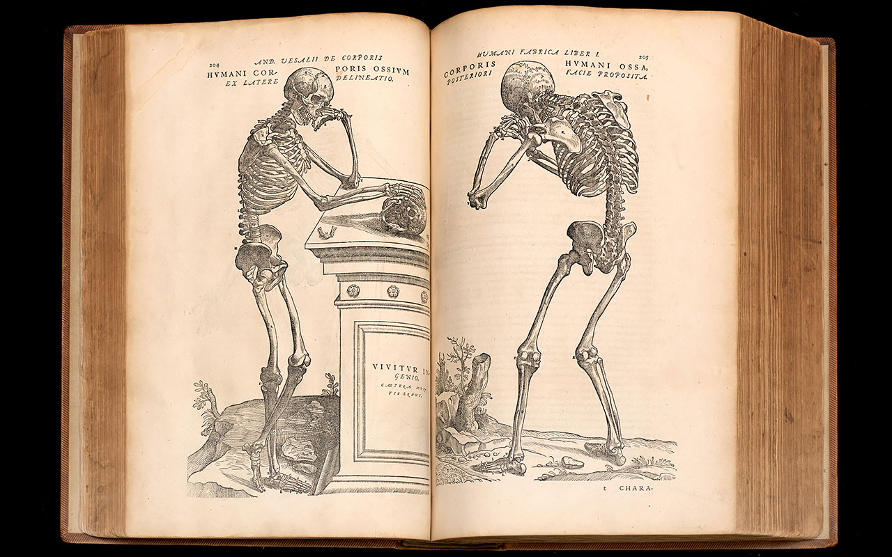 Andreas Vesalius | Fine Books & Collections